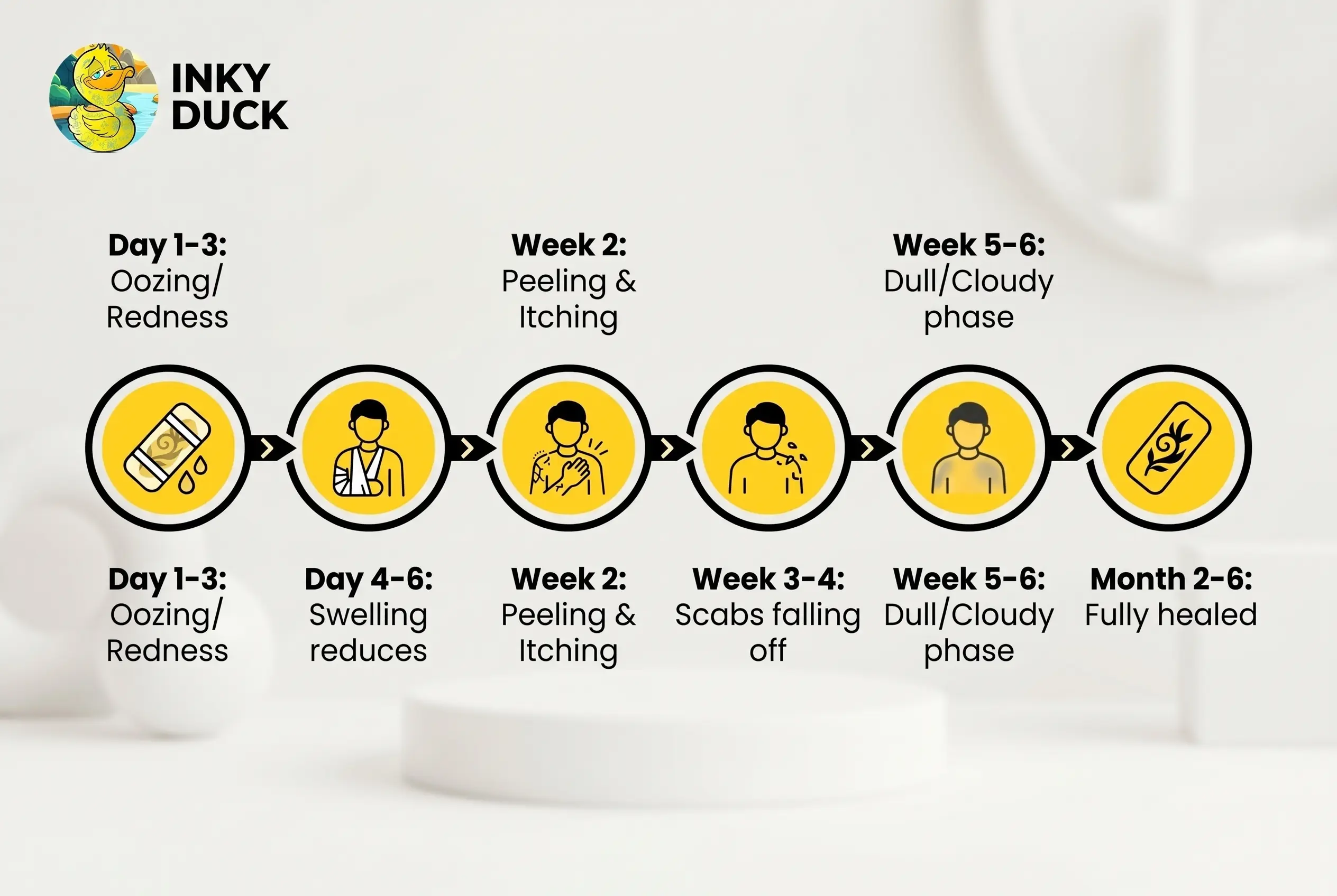 Tattoo healing timeline infographic showing the 6 stages of tattoo recovery from day 1 to month 6